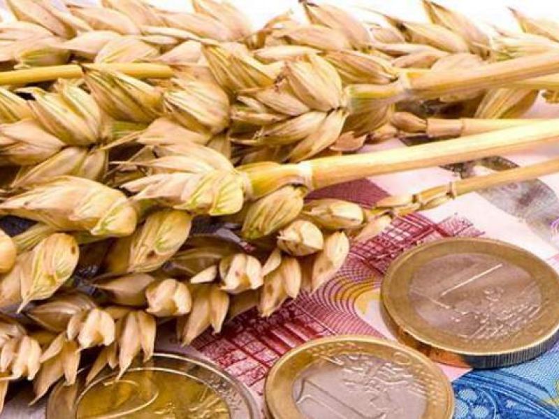 ¿Servirse del dinero o servir al dinero ?
